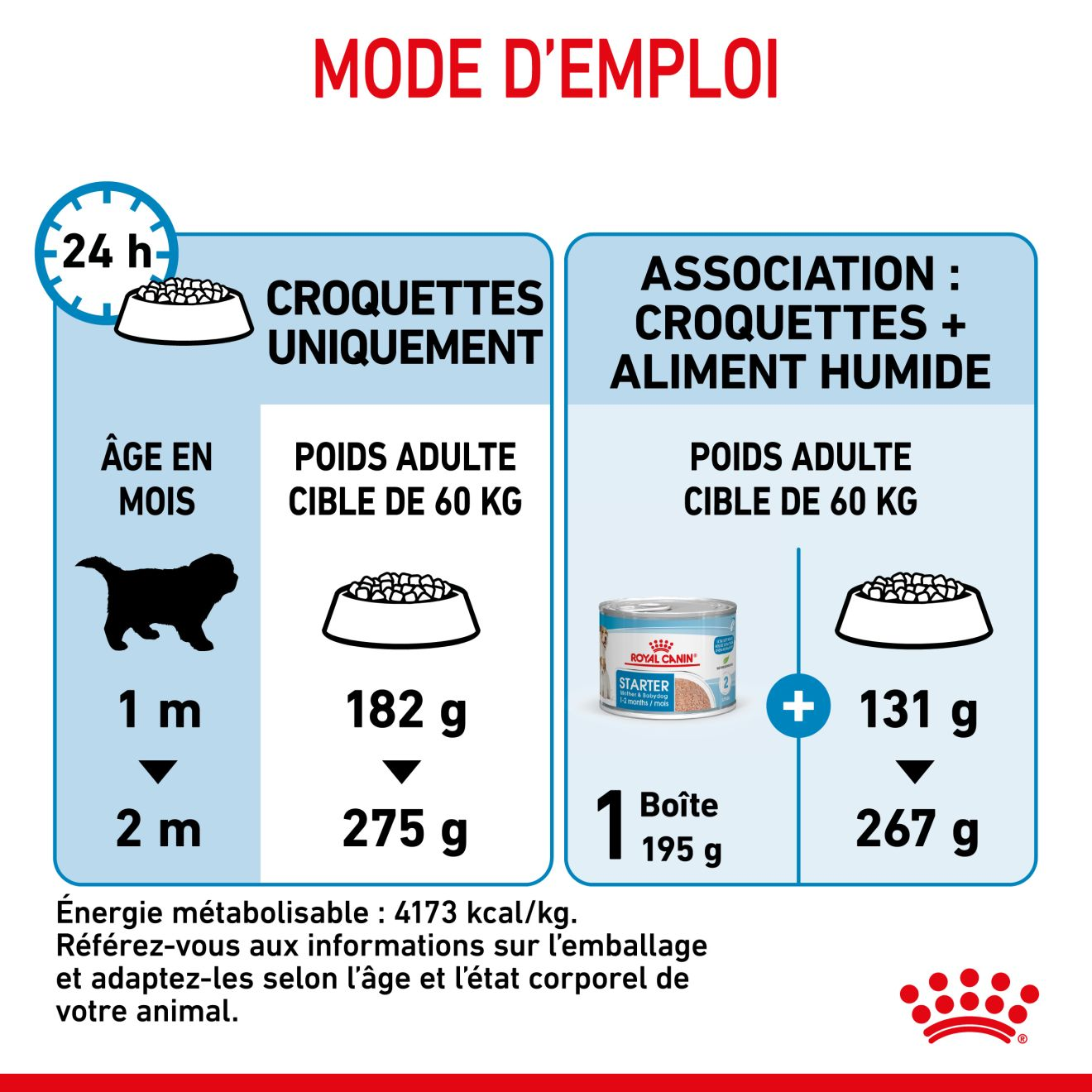 Giant Starter Mother & Babydog pour chiot