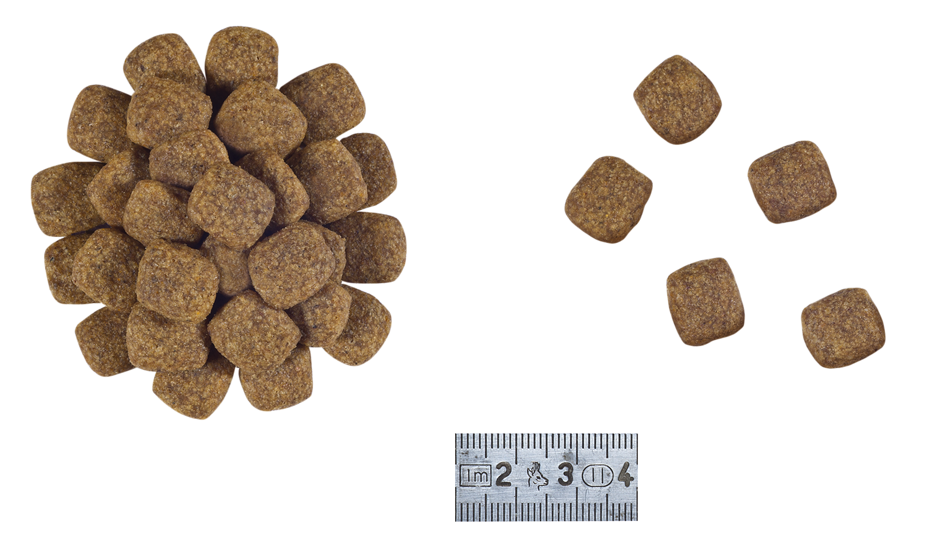 Canine Support Rénal Consultation Précoce