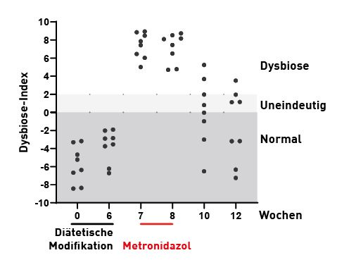 Der Effekt einer Ernährungsumstellung und von Metronidazol auf das intestinale Mikrobiom bei gesunden Hunden 