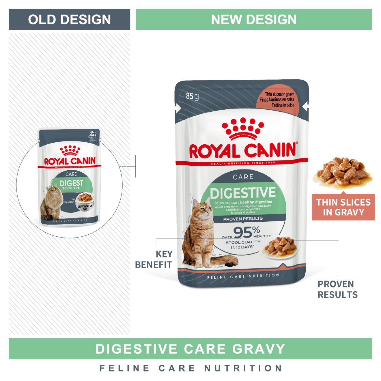 Royal canin digest sensitive hot sale gravy