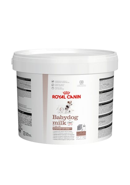 2013-BABYDOG Milk-2kg