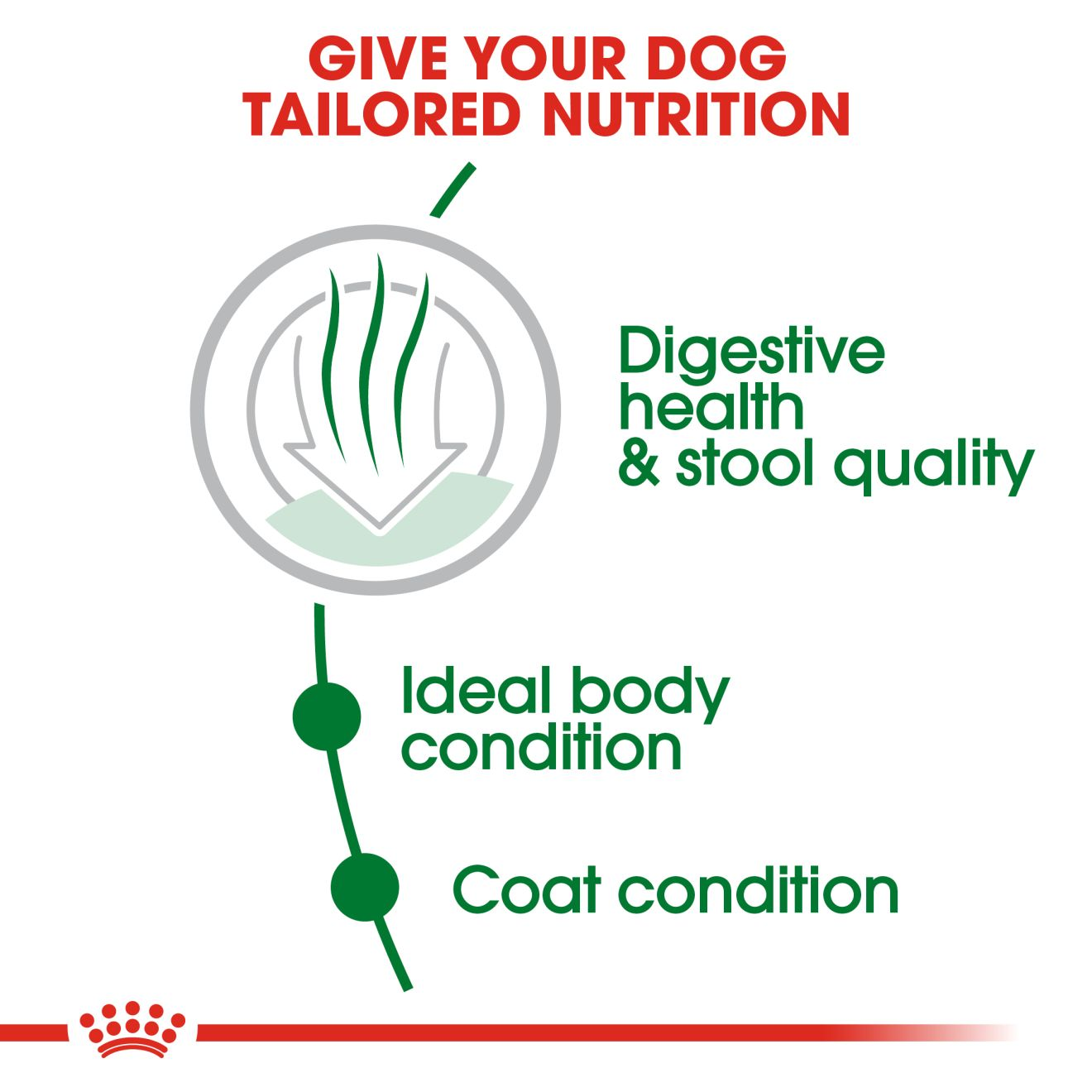 2個パック CANIN mini INDOOR adult S Mini Indoor Adult | Royal Canin MY