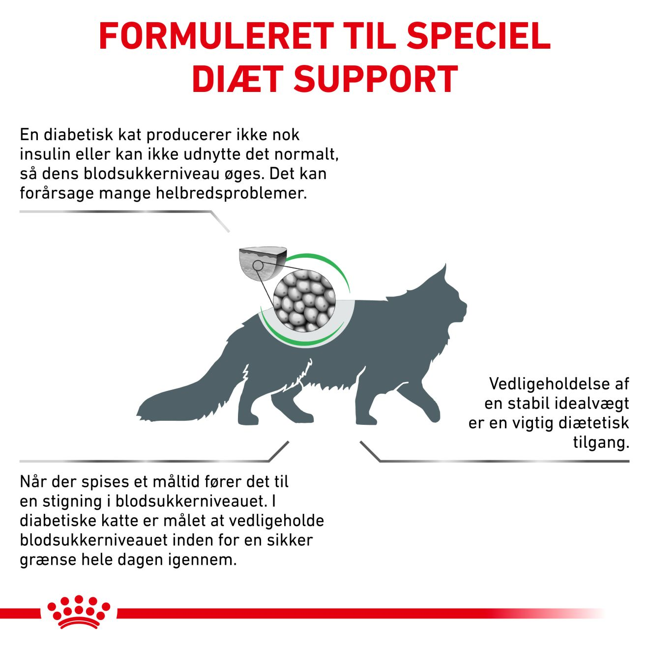 Weight Management Diabetic