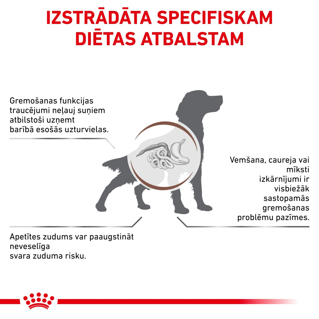 Gastrointestinal
