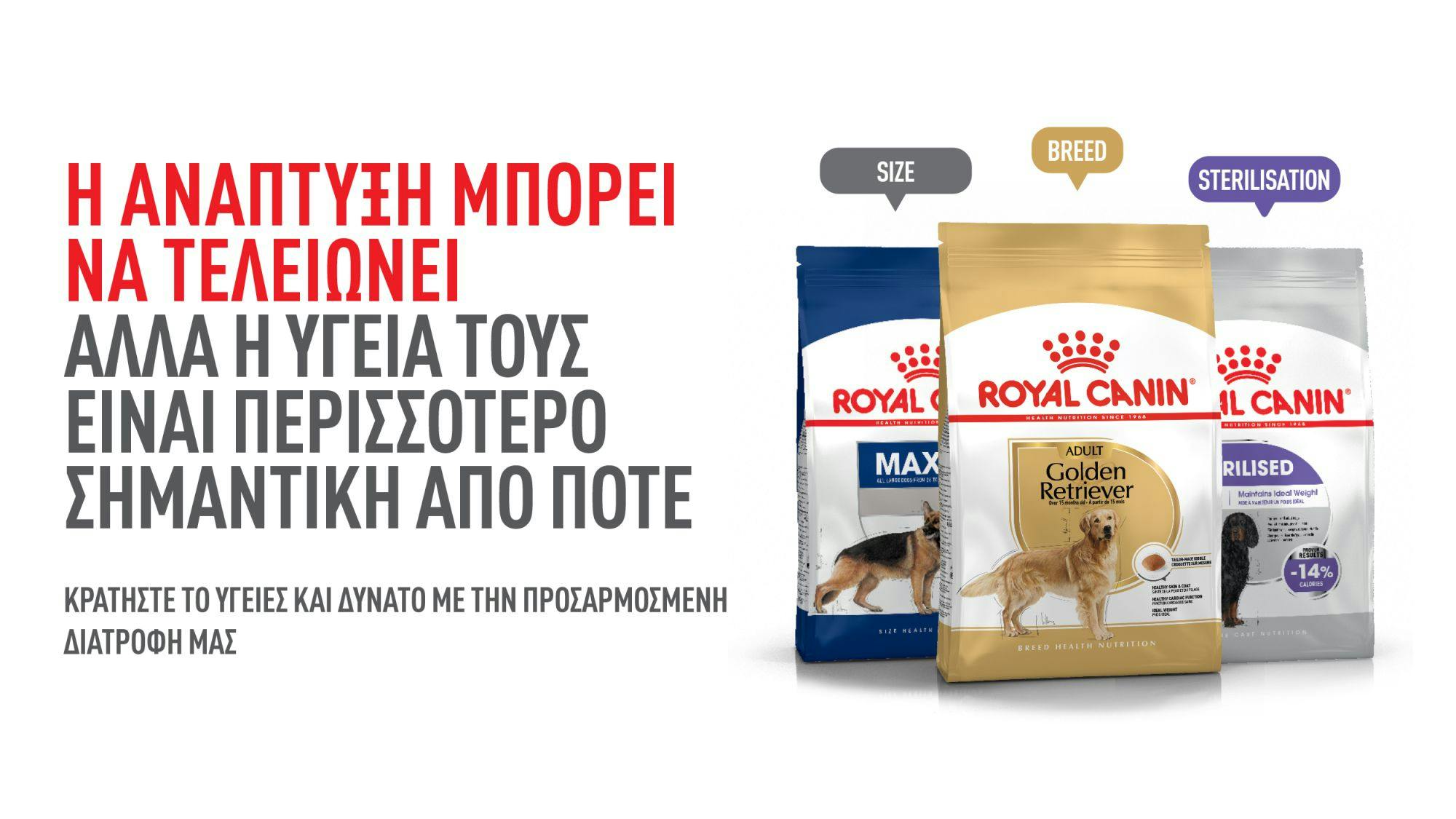 Μετάβαση σε τροφή για ενήλικους σκύλους Royal Canin