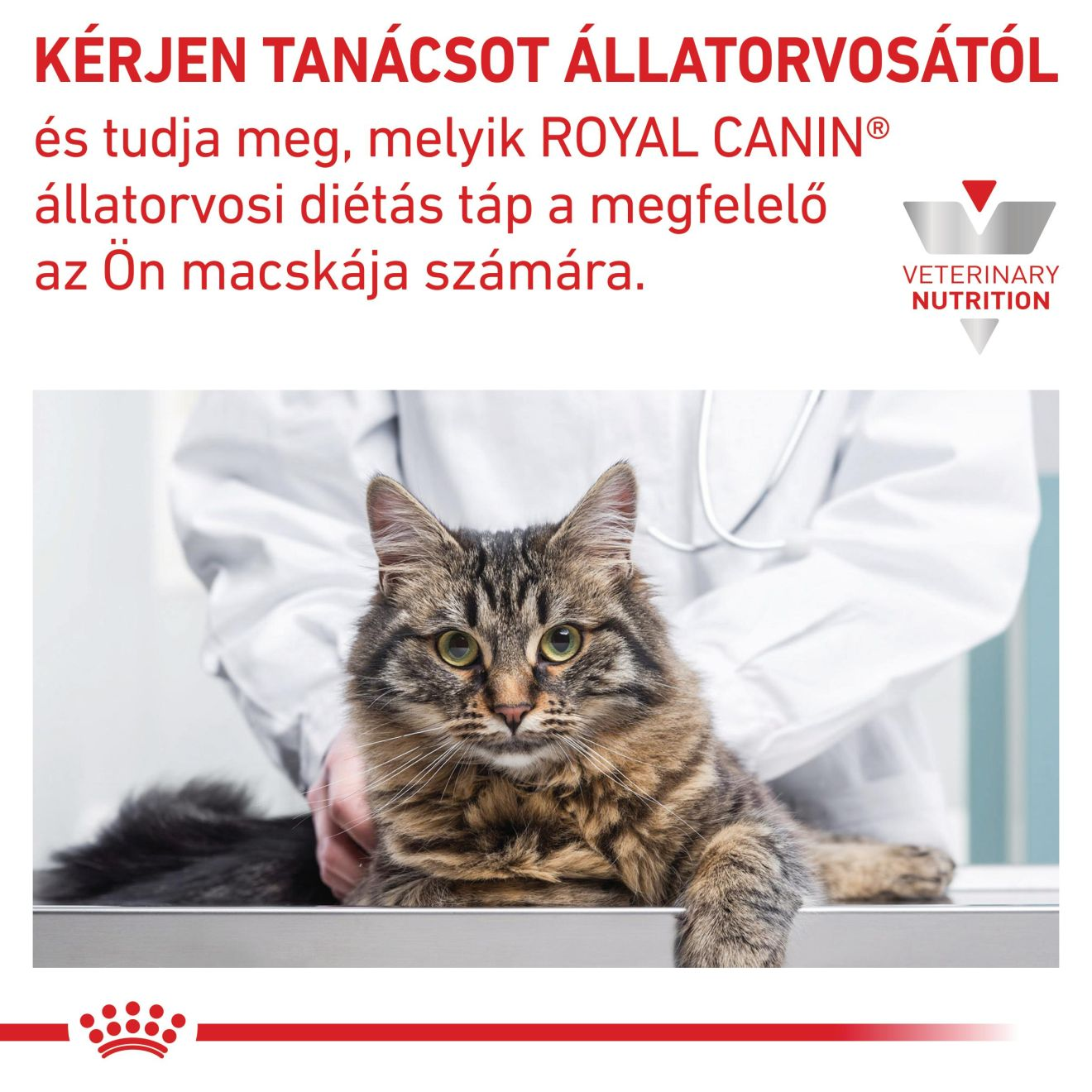 Anallergenic