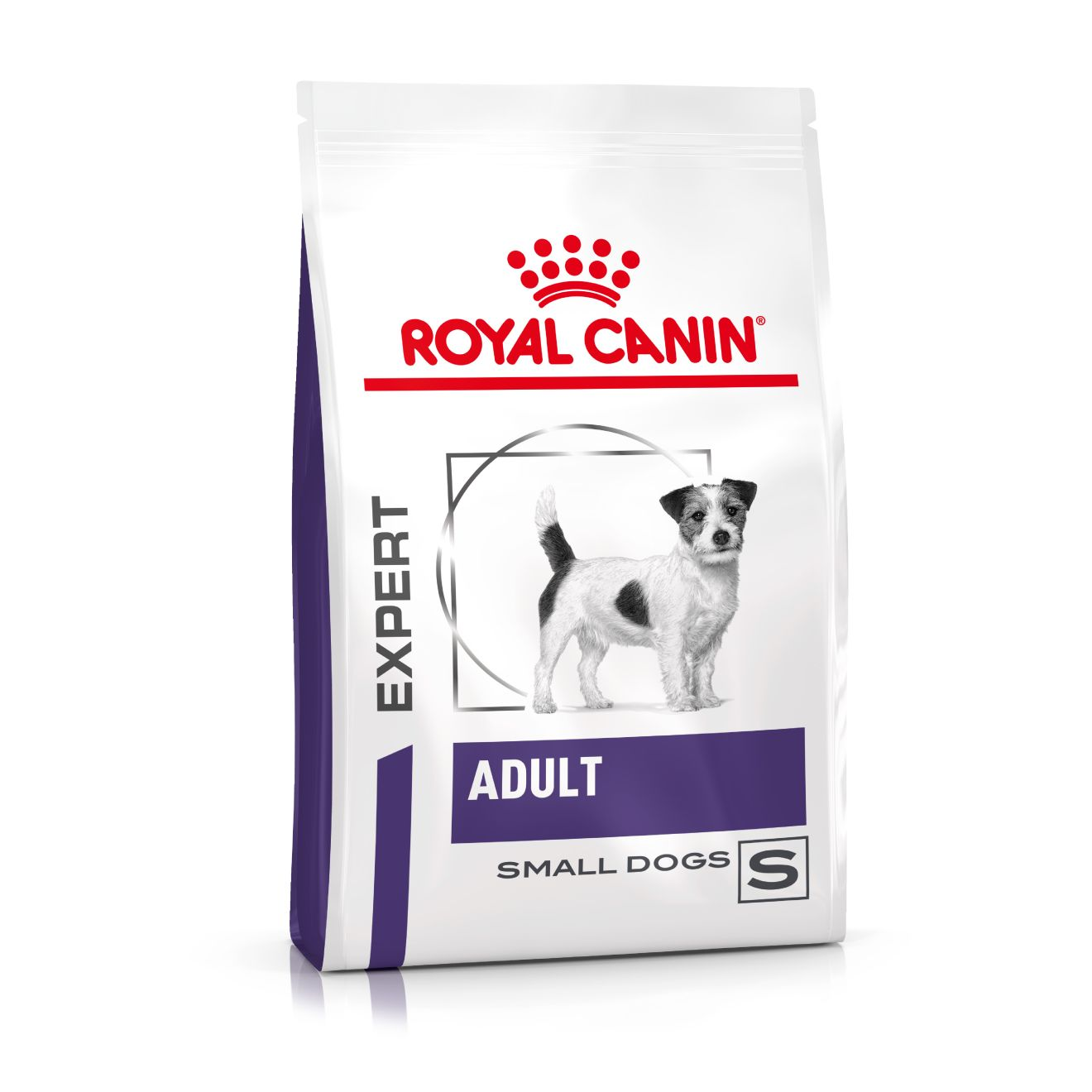 Health Adult Small dog