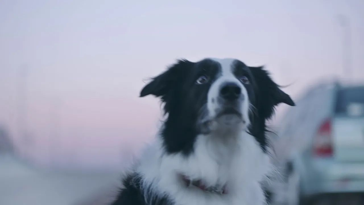 Neste Natal, pense bem.