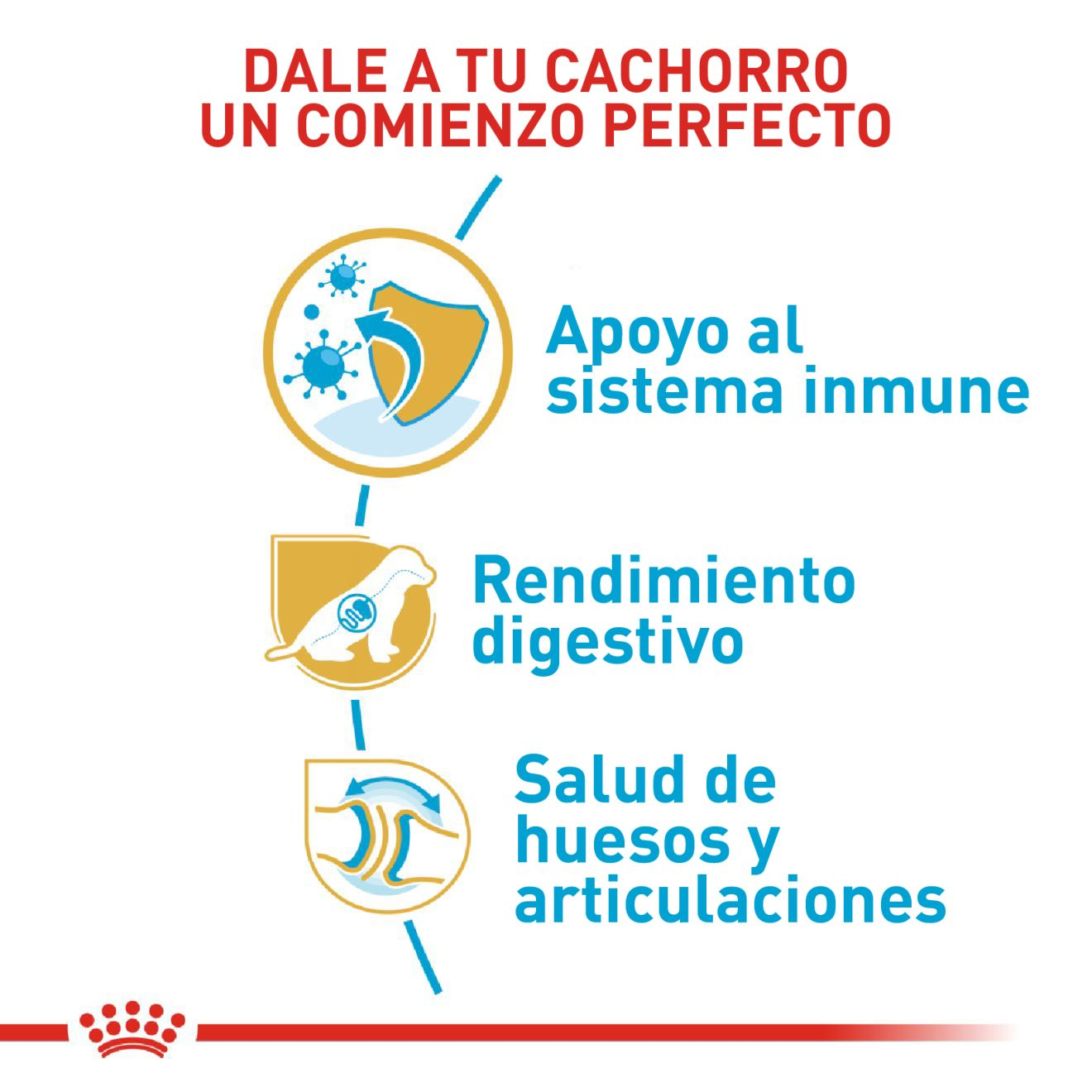 Pastor Alemán Cachorro