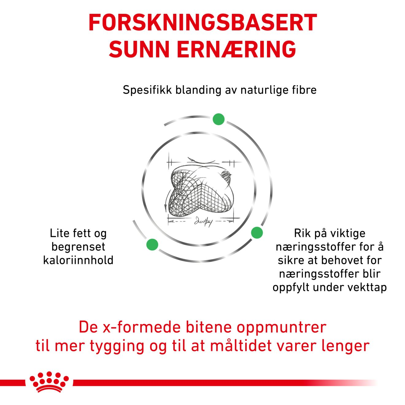 Weight Management Satiety 