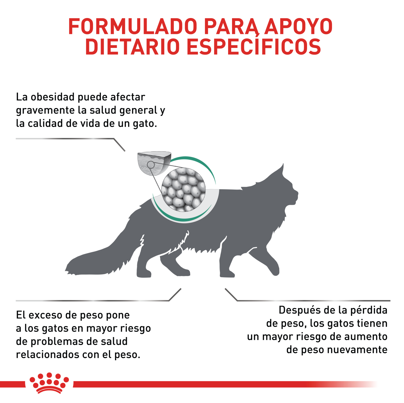 Satiety Weight Management | Royal Canin CO