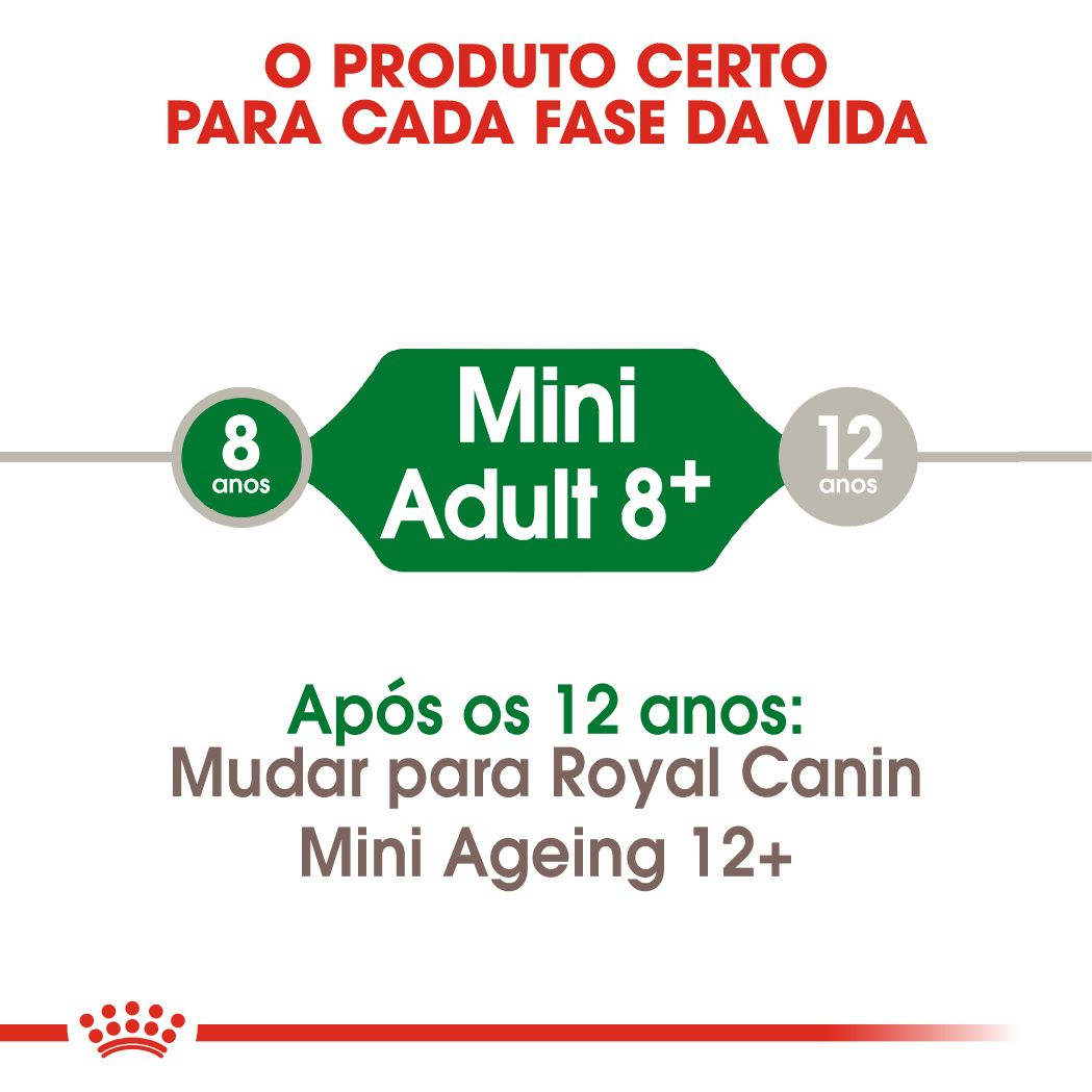 Mini Adult 8+