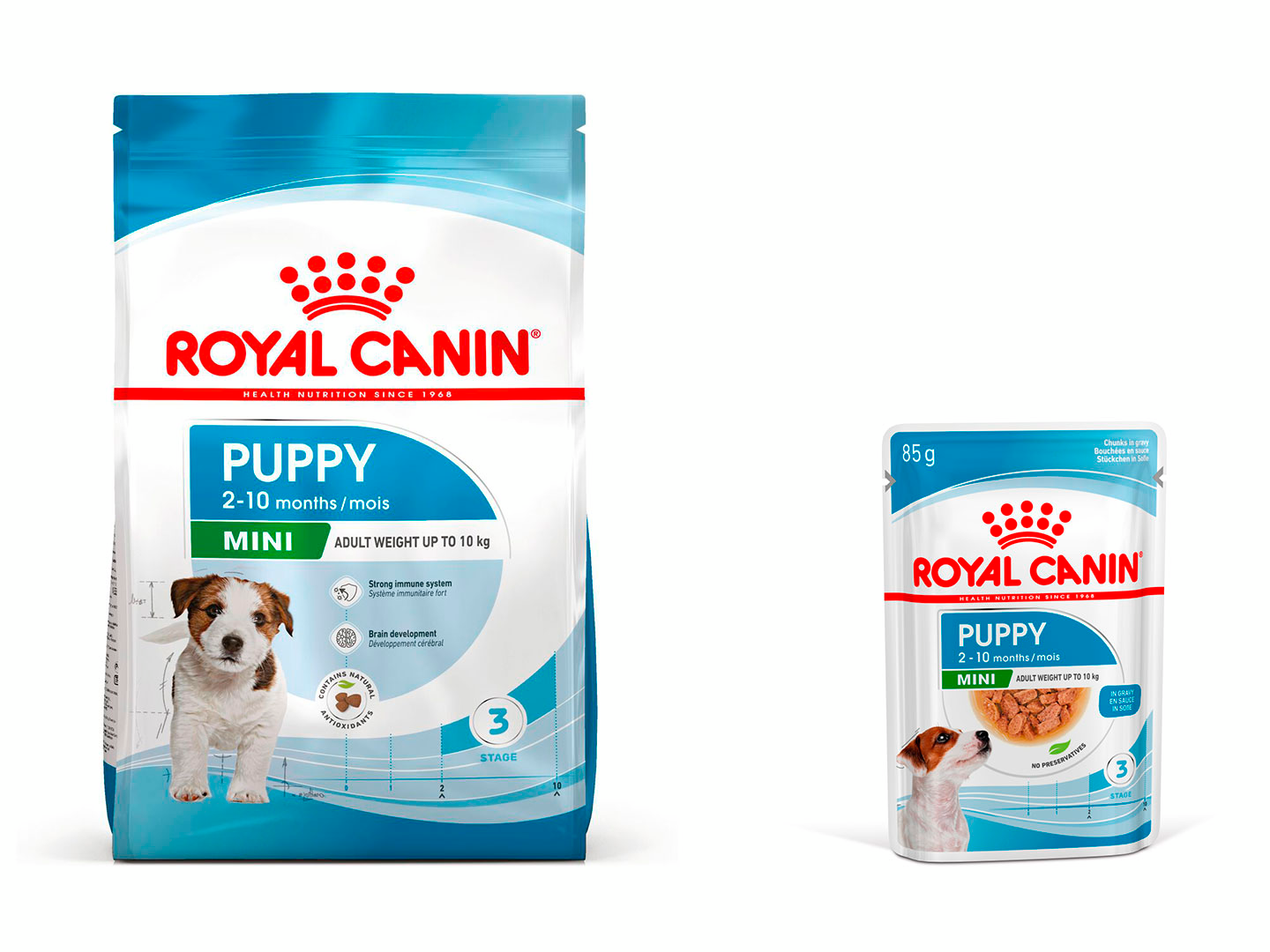 Alimento para cachorros de raza pequeña Royal Canin Small Starter Mother