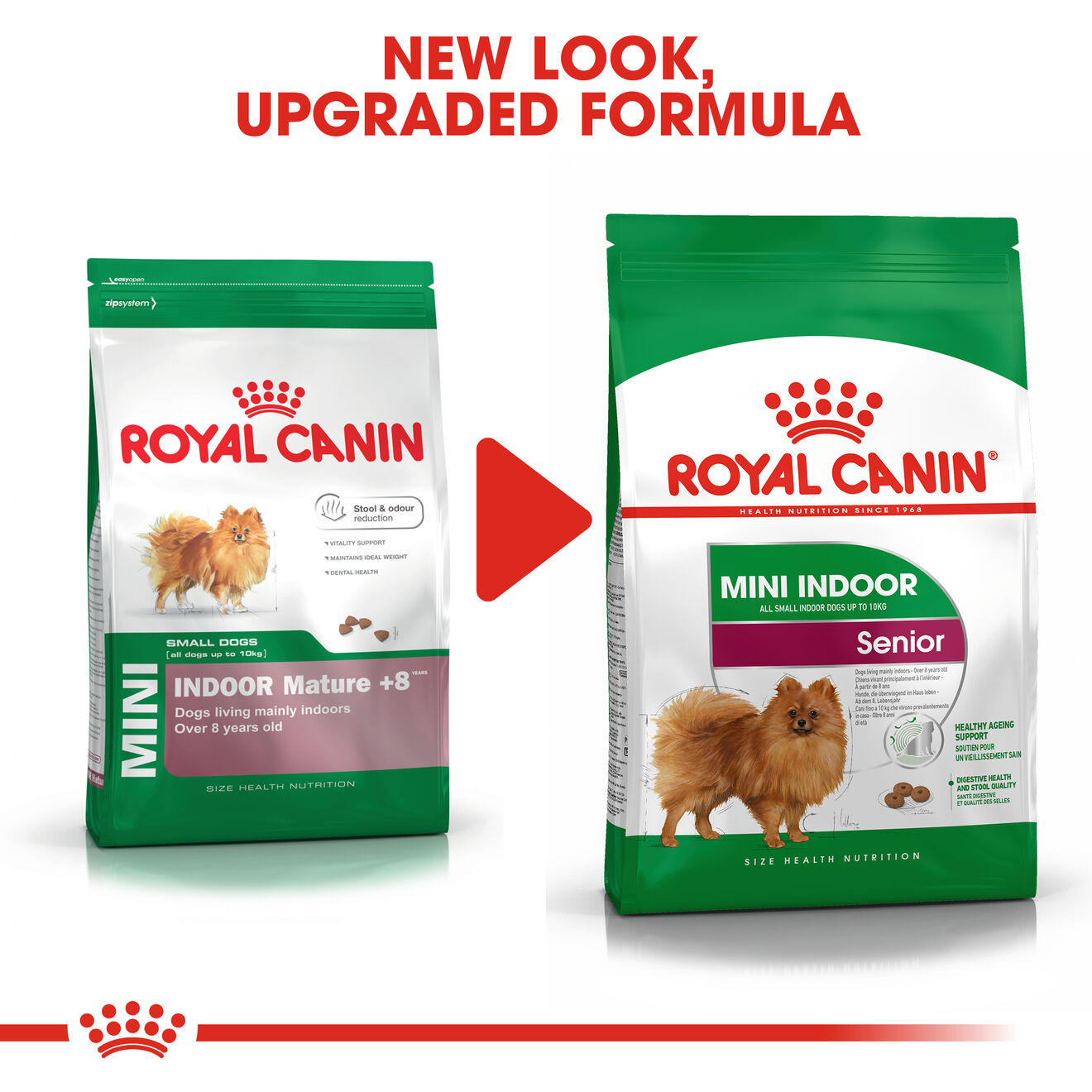 Mini Indoor Senior dry Royal Canin