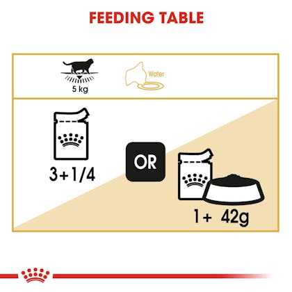 Royal canin feeding guide hot sale cat