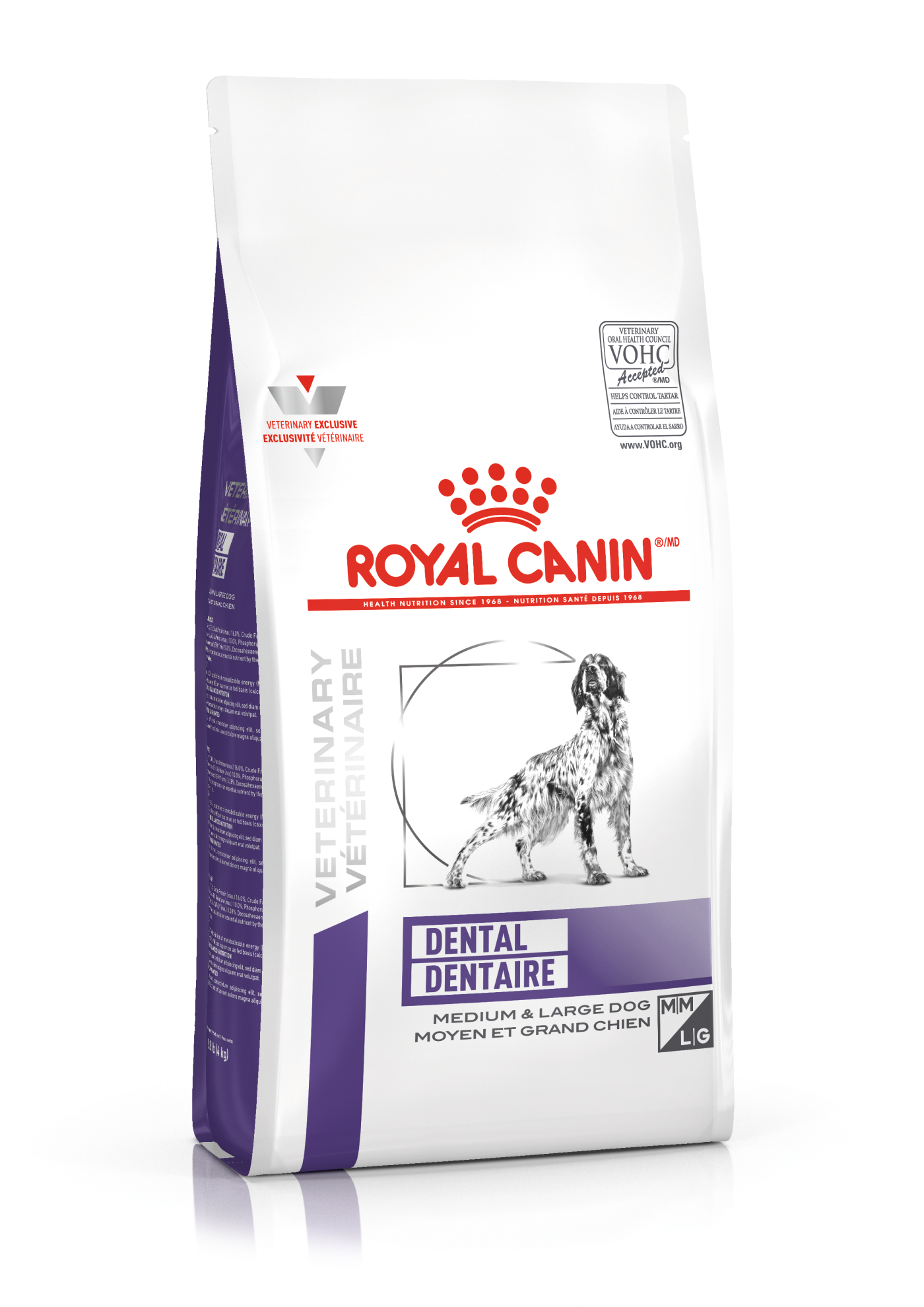 Lichaam gegevens Lezen Canine Dental Medium and Large Dog | Royal Canin US