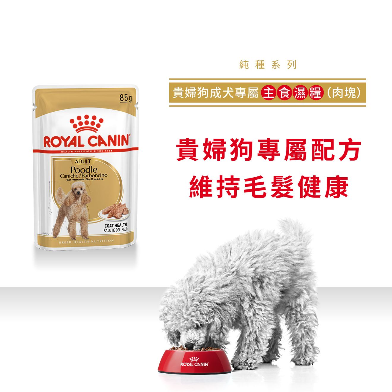 BHN 貴婦狗成犬專屬主食濕糧（肉塊）