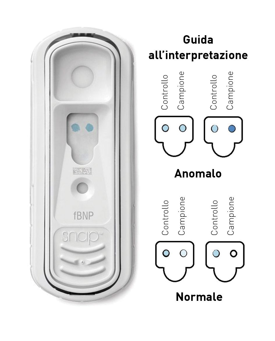 Il test SNAP Feline proBNP utilizza una tecnica analitica ELISA 