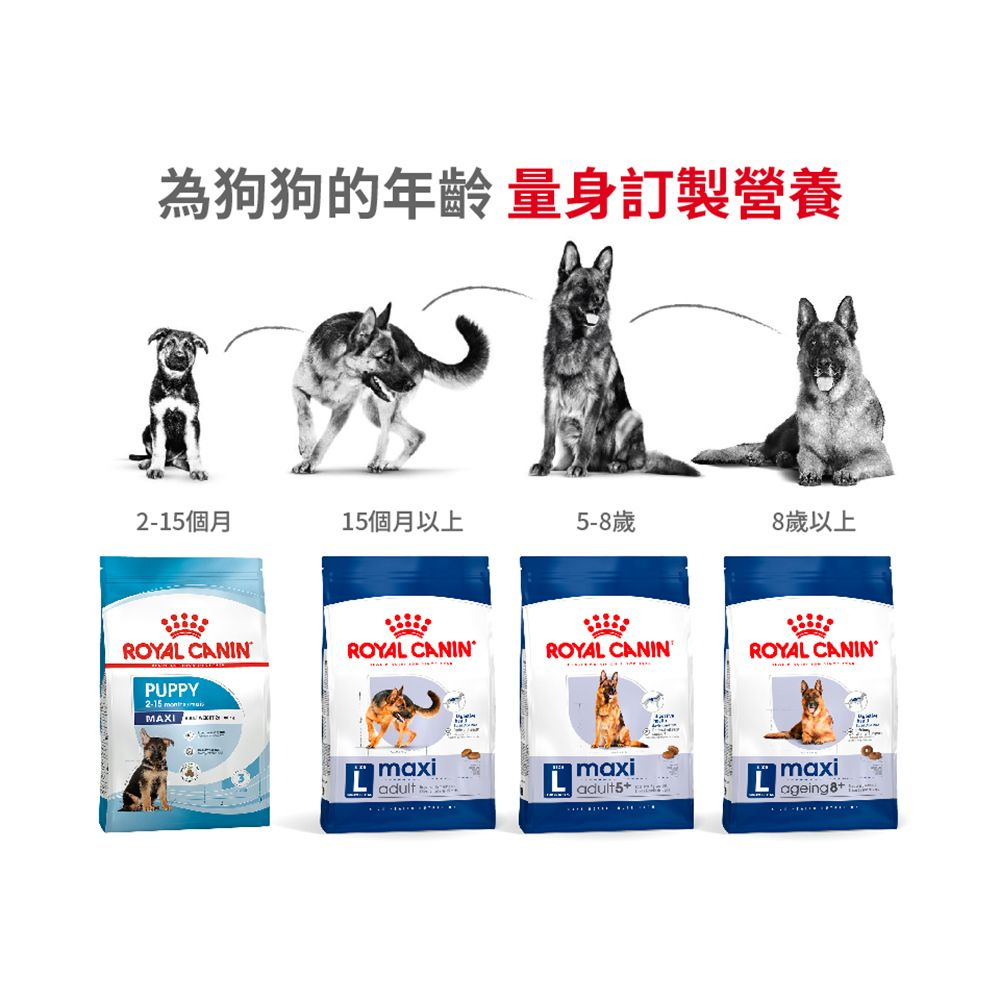 SHN 大型熟齡犬5+營養配方