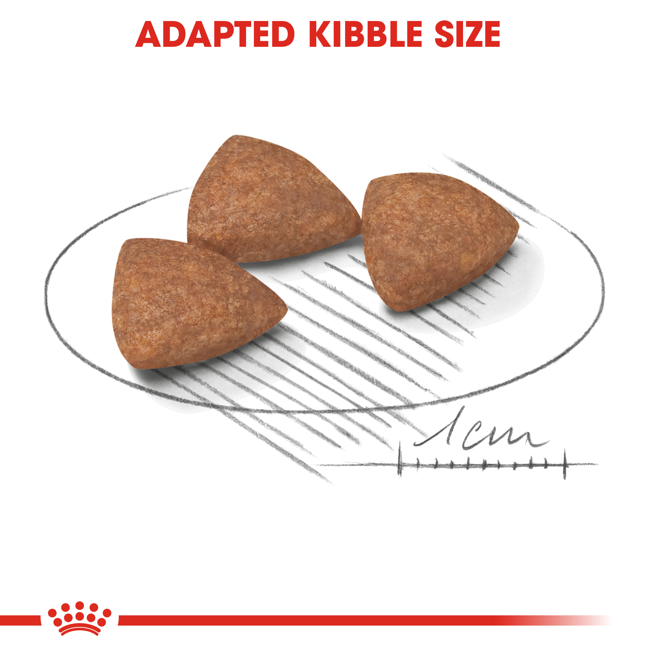 royal canin mini indoor adult