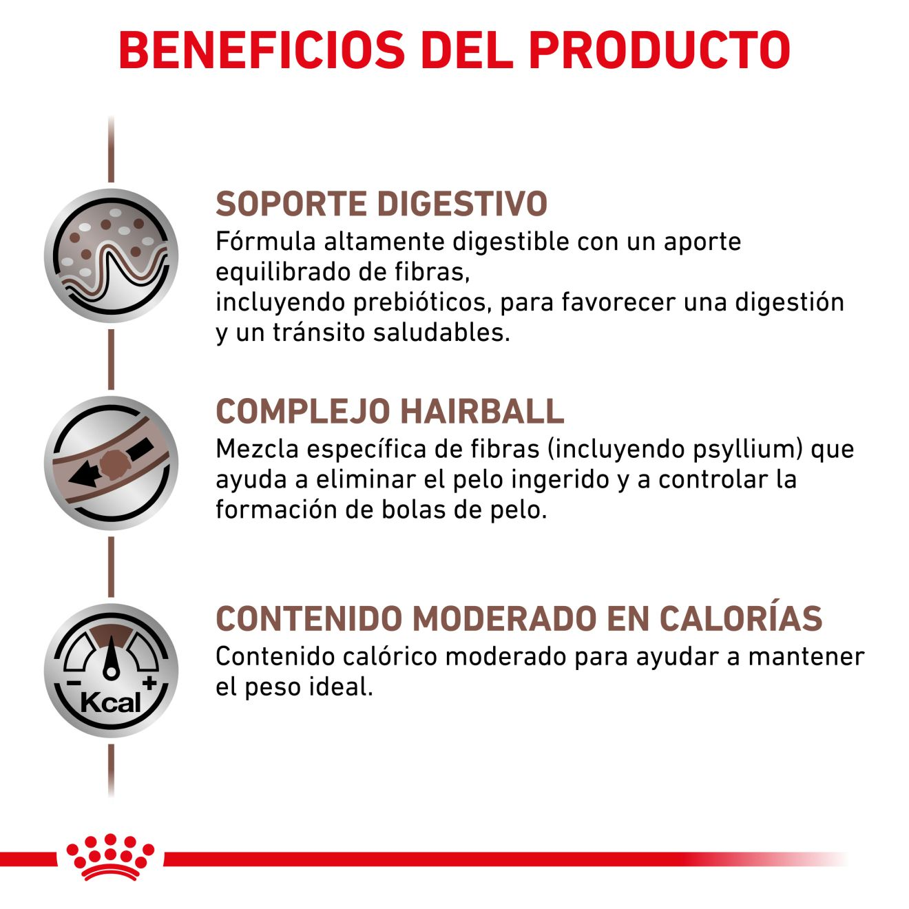 Gastrointestinal Hairball