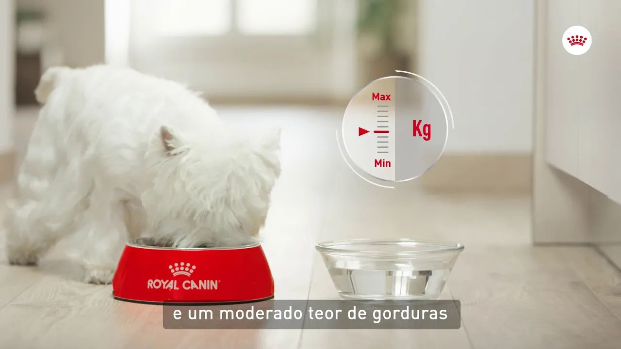 Royal Canin Sterilised - Nutrição para cães esterilizados