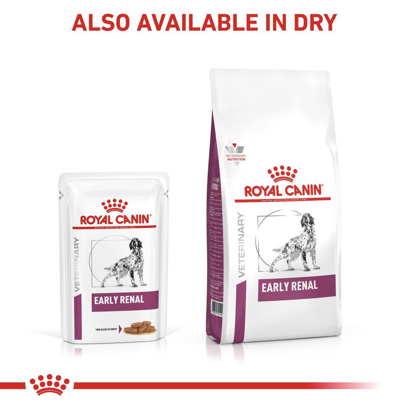 อาหารสุนัขประกอบการรักษาโรคไตในระยะเริ่มต้น ชนิดเปียก (EARLY RENAL)