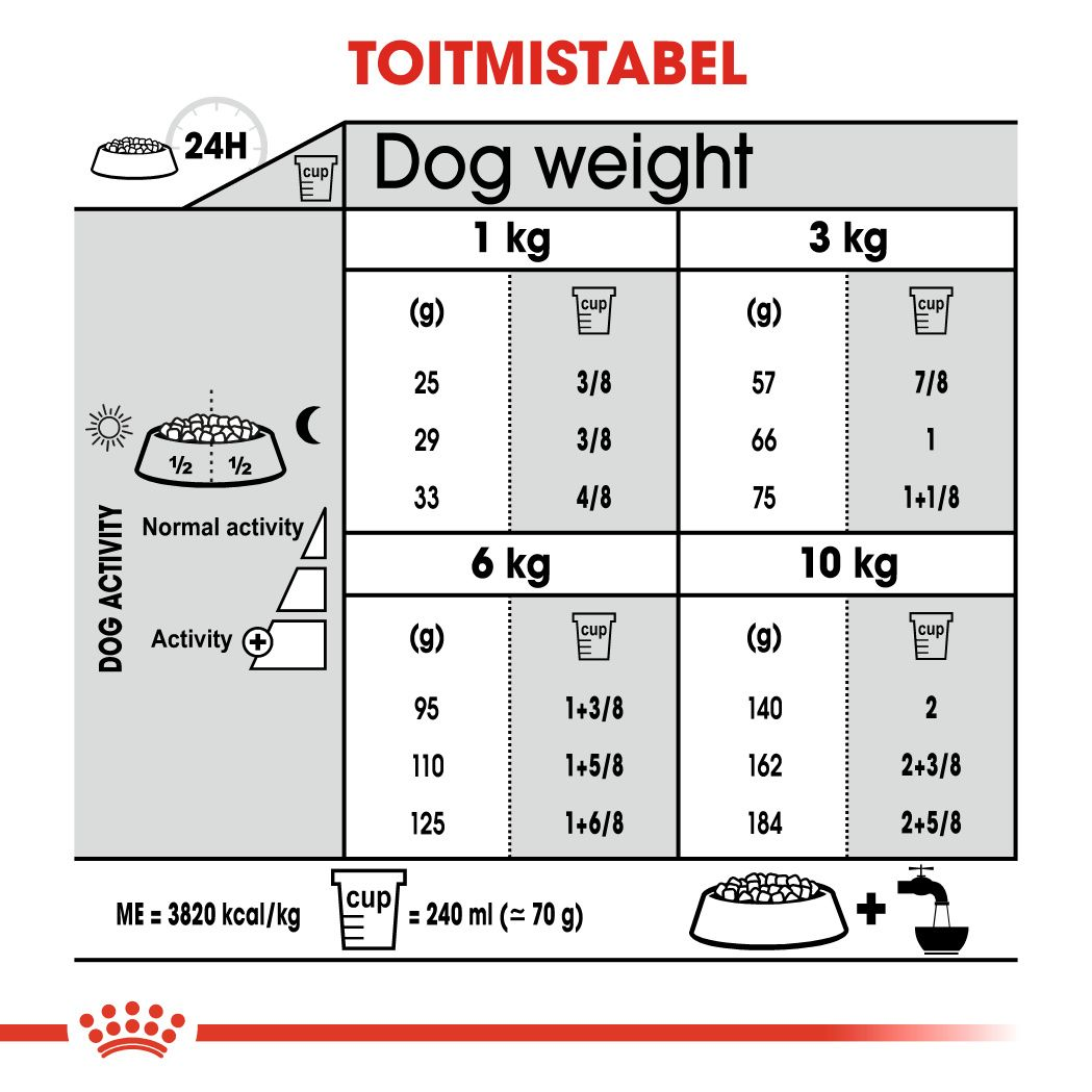 Royal Canin Mini Dental Care kuivtoit