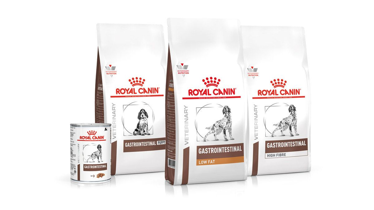 Royal canin junior clearance gastro