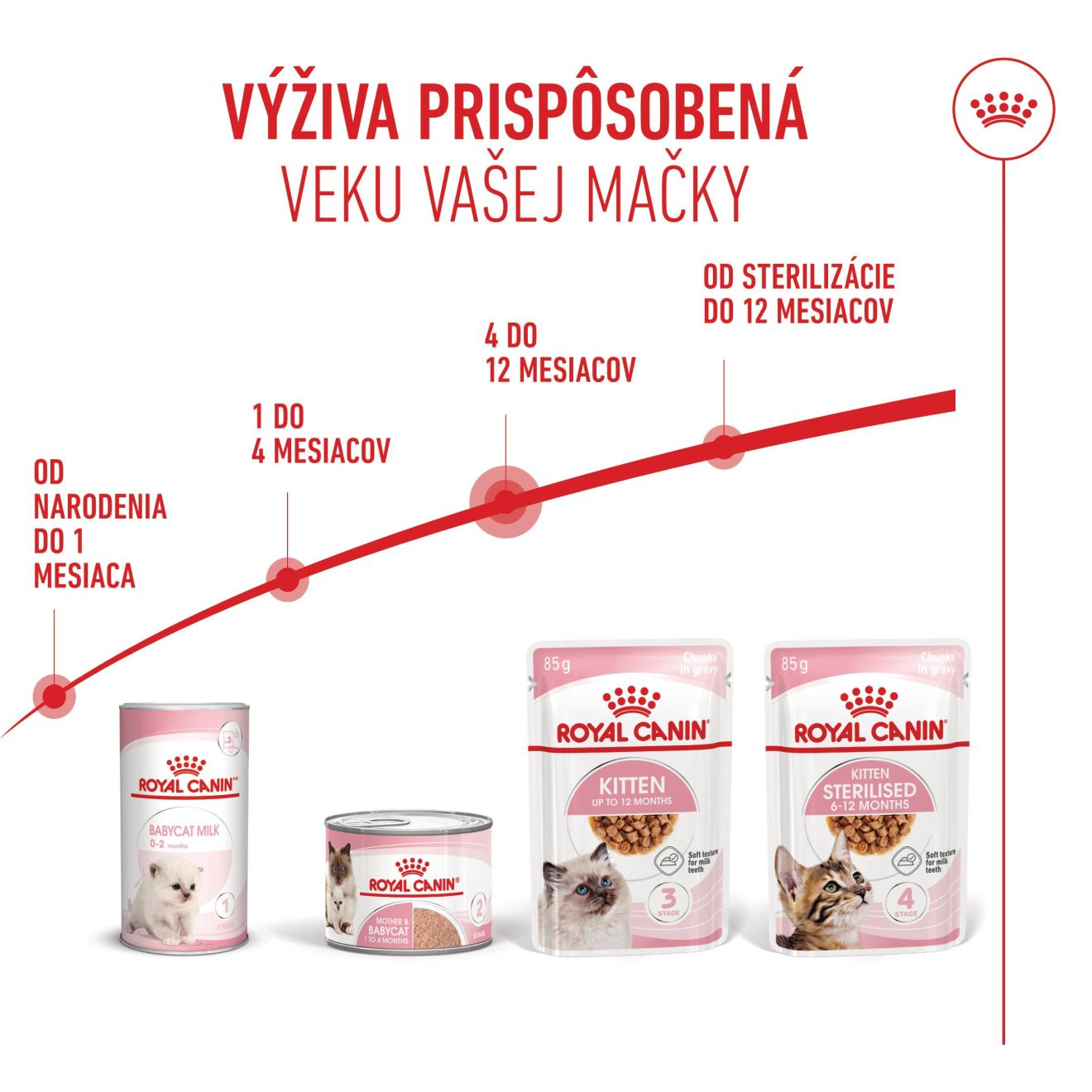 KITTEN kúsky v šťave