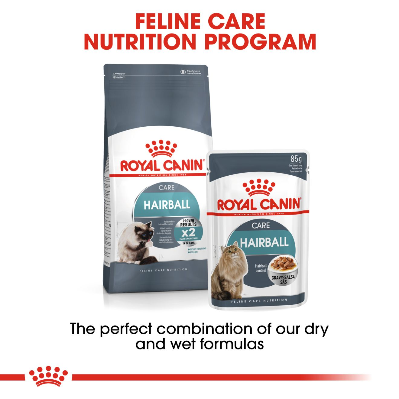 Hairball Care Royal Canin UK