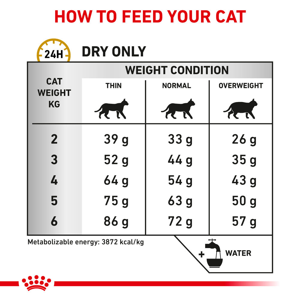 Urinary S O Royal Canin UK