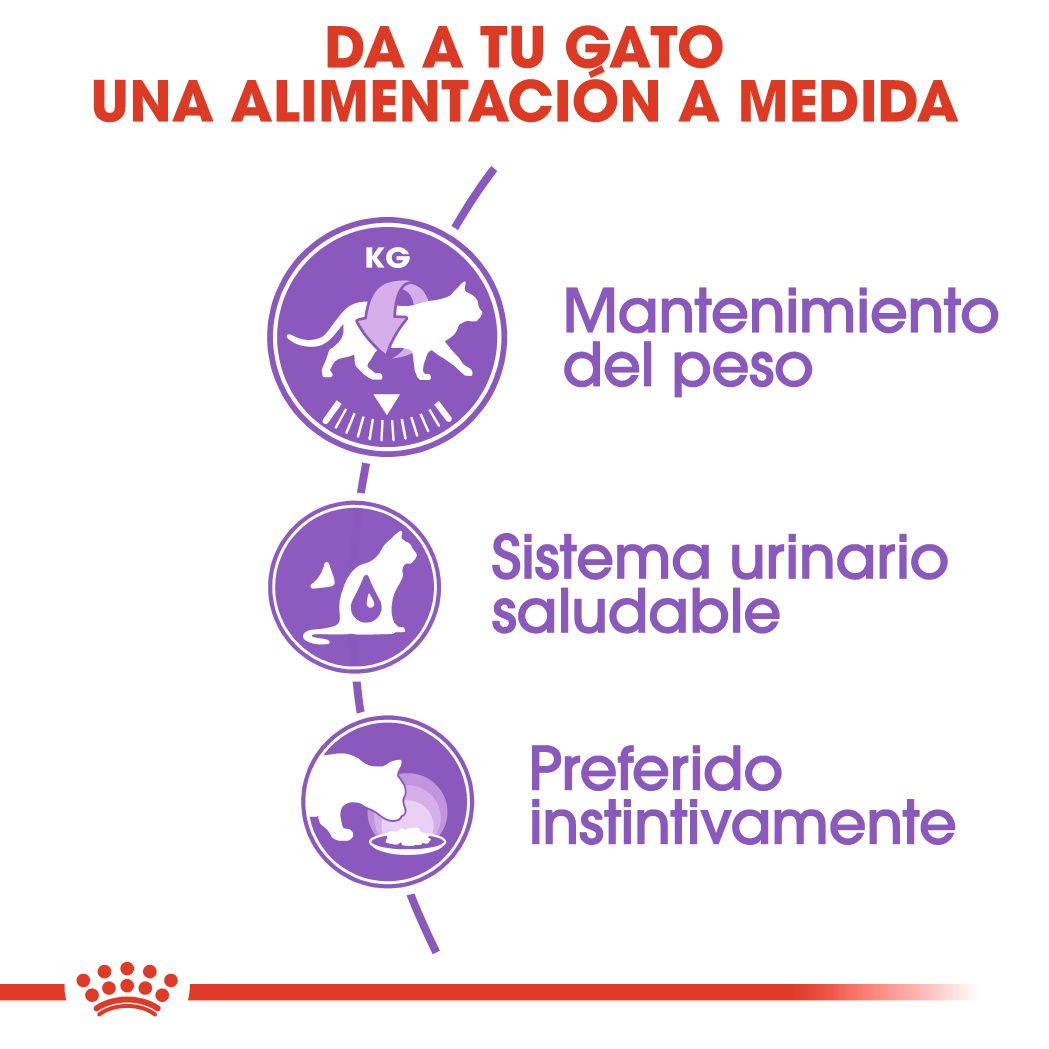 Royal Canin Sterilised, Comida Húmeda para gatos