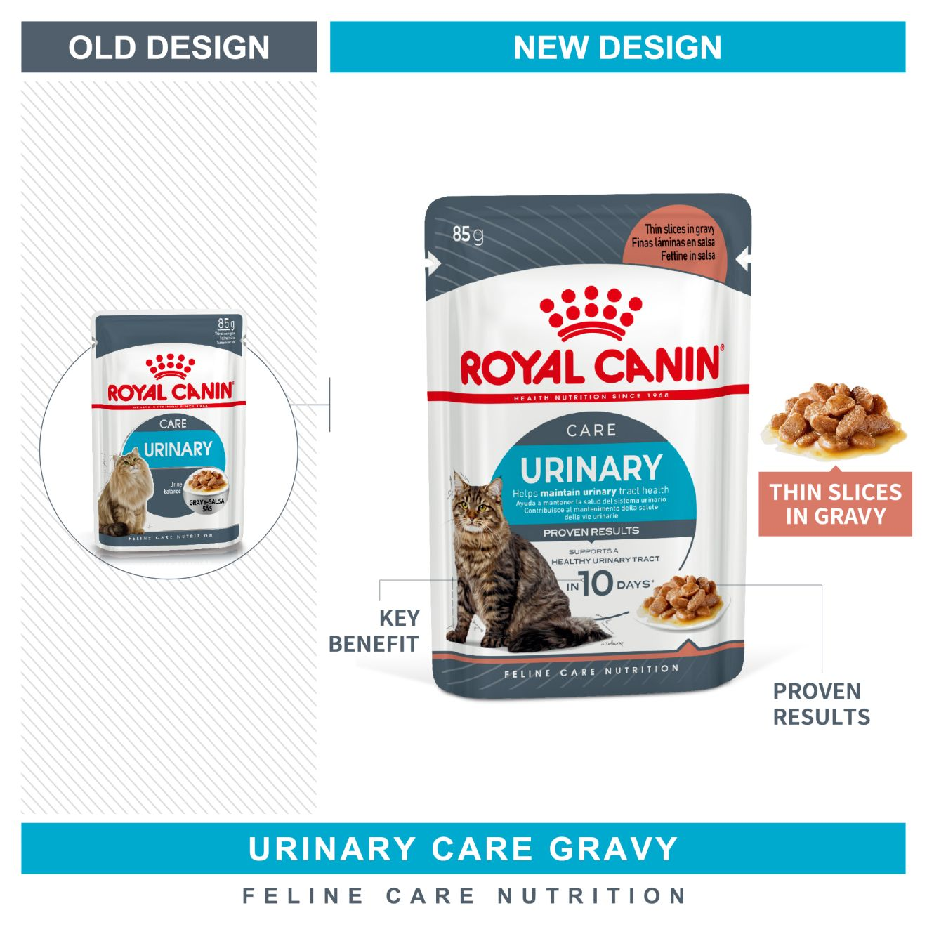 FCN Urinary Care Adult Cat (Gravy)