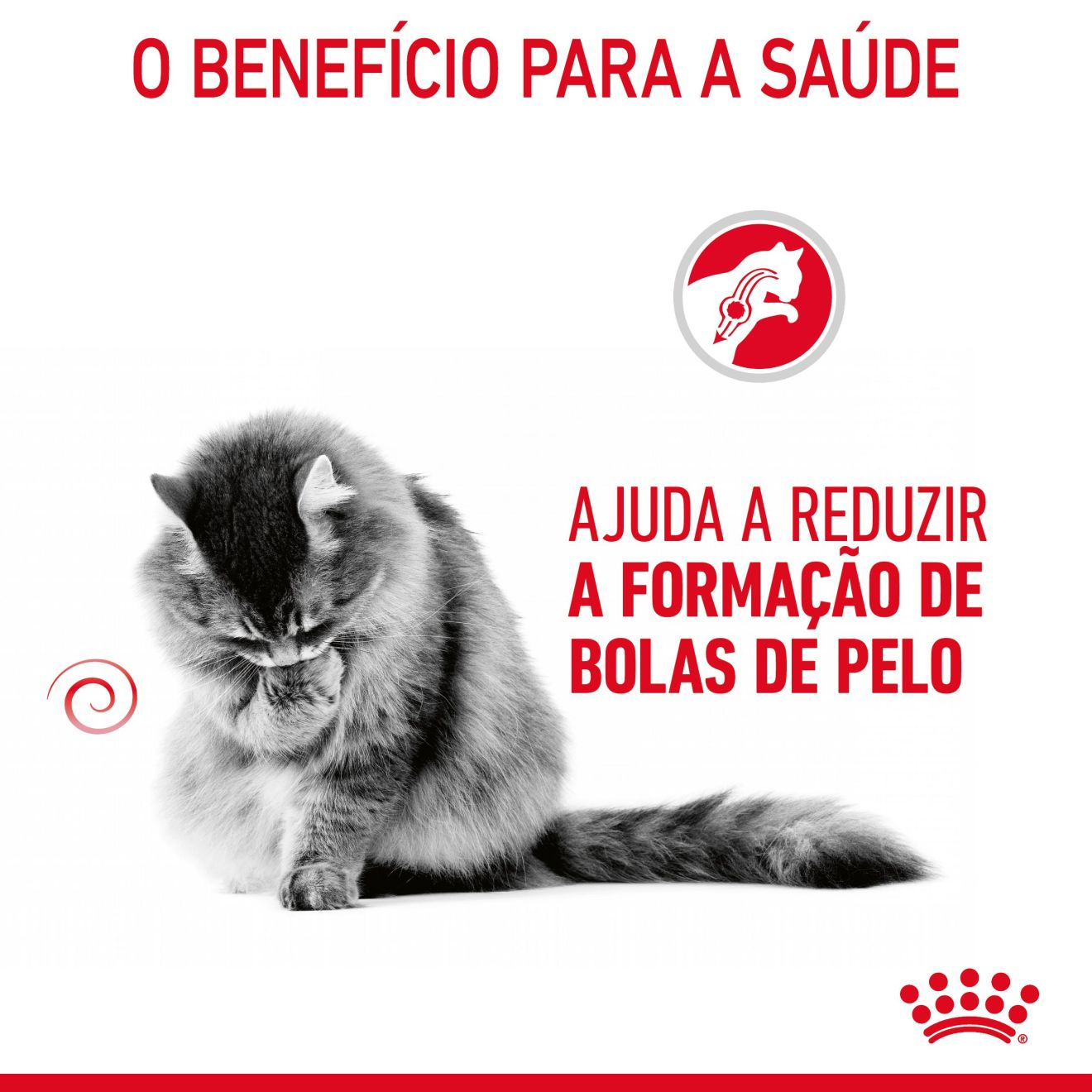 HAIRBALL CARE Fatias finas em geleia