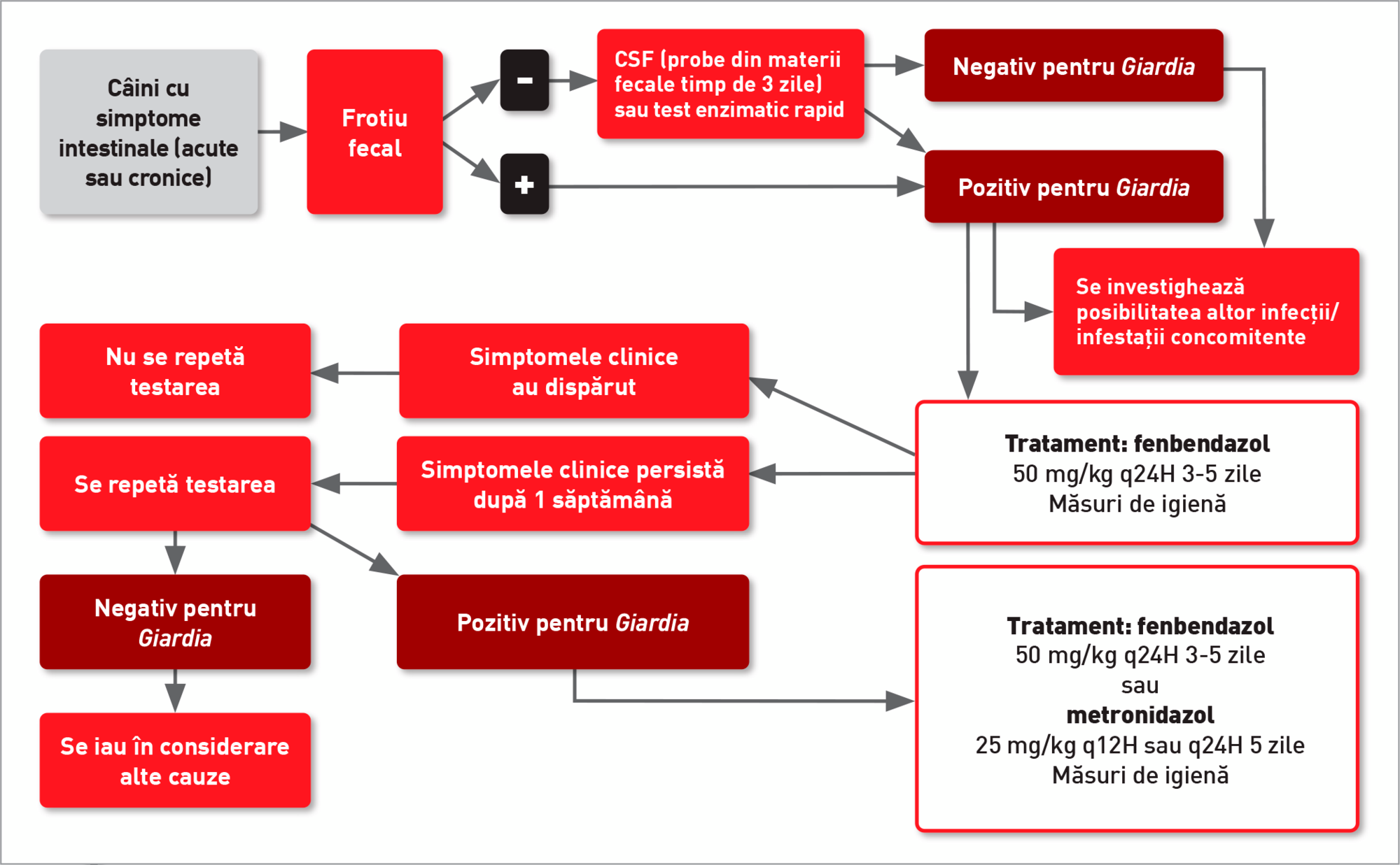 Arbore decizional pentru diagnosticarea și tratarea infestațiilor cu Giardia la câini (modificat conform 25).