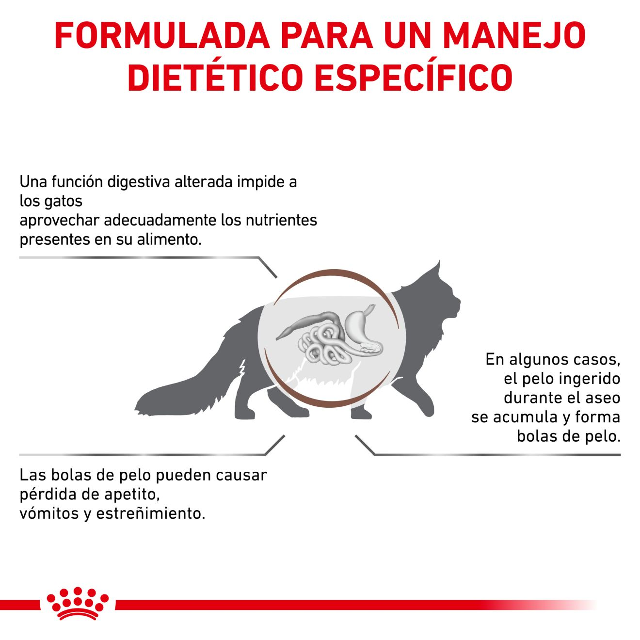 Gastrointestinal Hairball