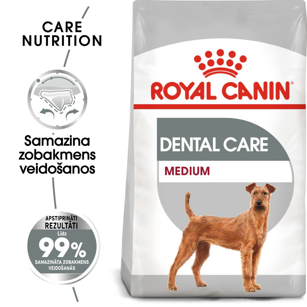 Medium Dental Care