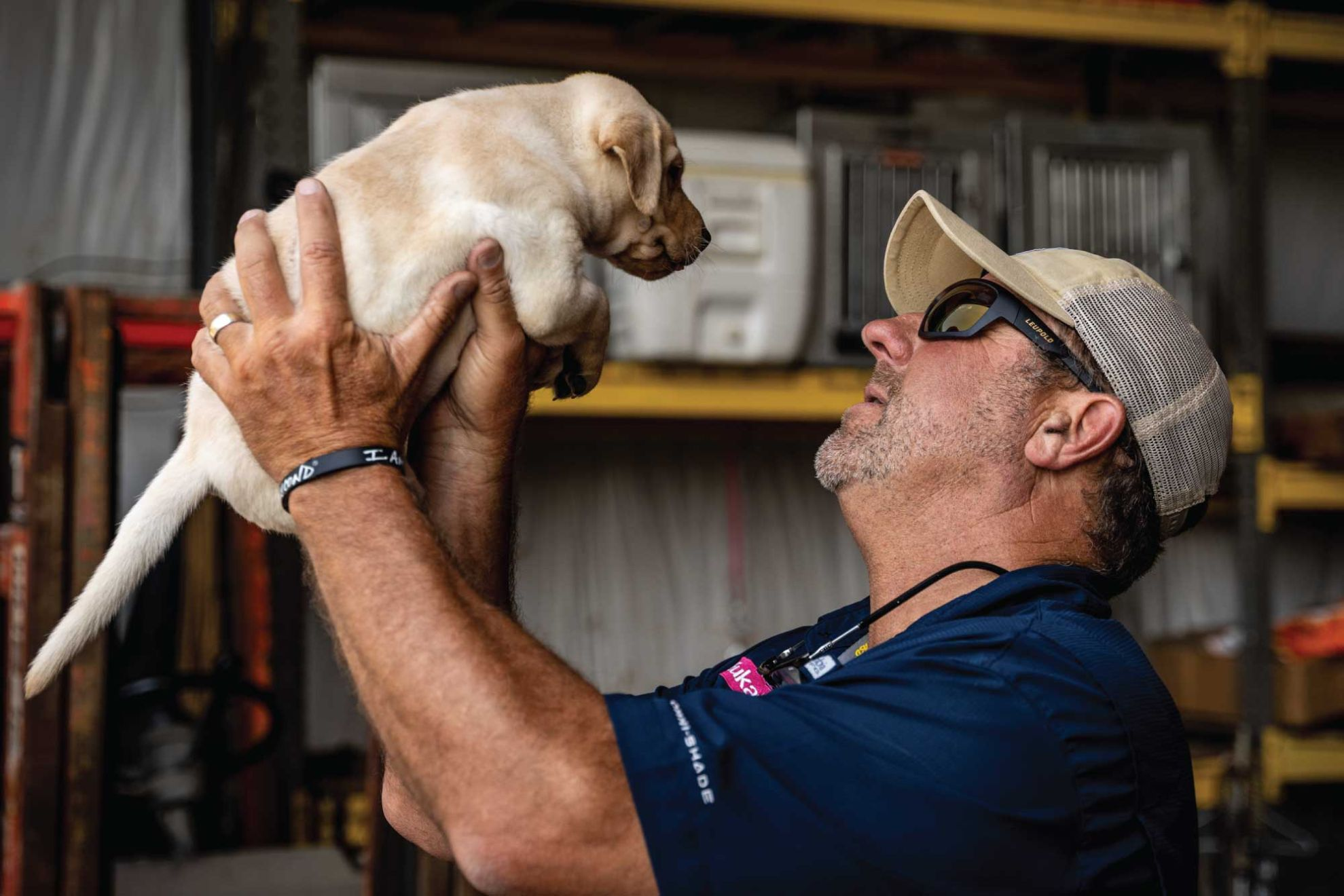 https://cdn.royalcanin-weshare-online.io/K-cbPHsBaPOZra8qgrm6/v3/us-esd-eukanuba-pro-trainer-chris-akin-holds-a-lab-puppy