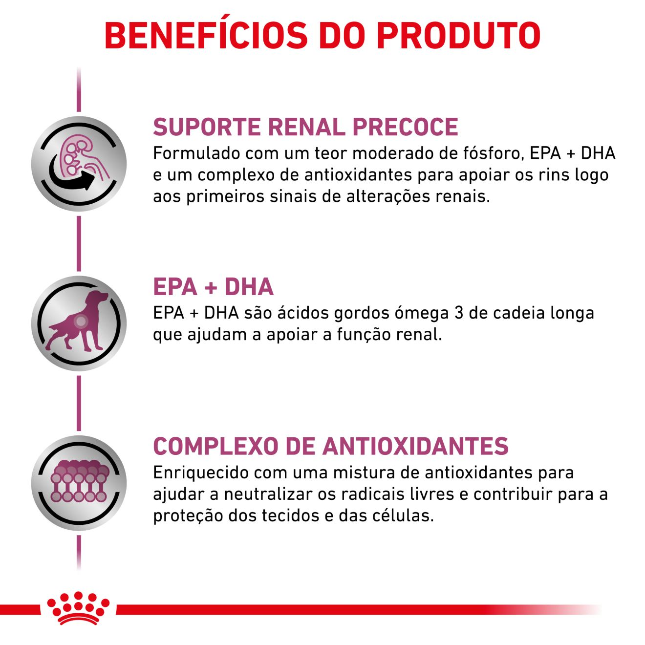 Early Renal fatias finas com molho