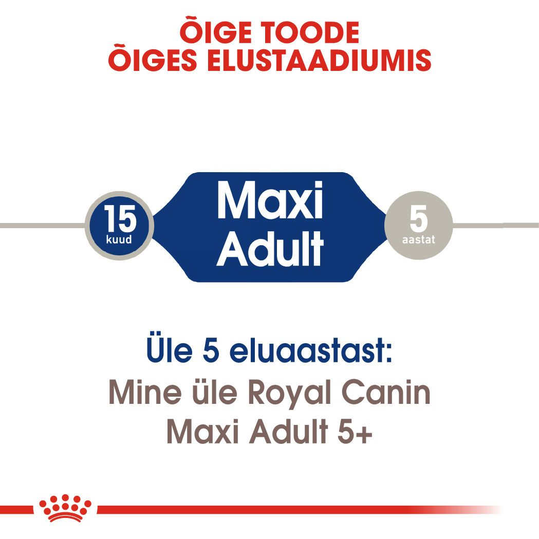 Royal Canin Maxi Adult kuivtoit