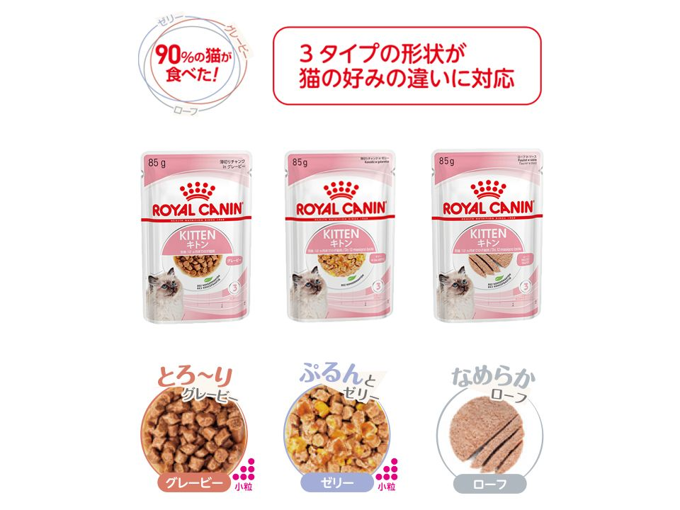 子猫の成長に合った食事できめ細かな栄養ケア | Royal Canin JP 子猫の成長に合った食事できめ細かな栄養ケア | Royal Canin JP