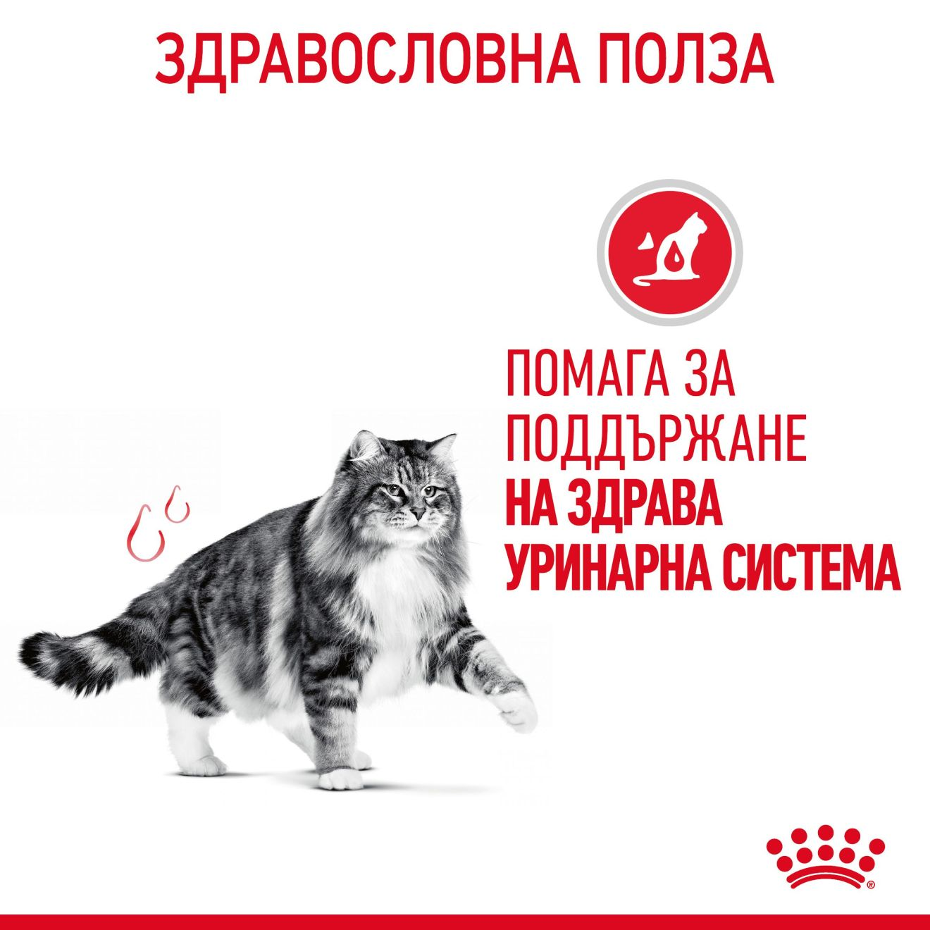 URINARY CARE Малки хапки в желе