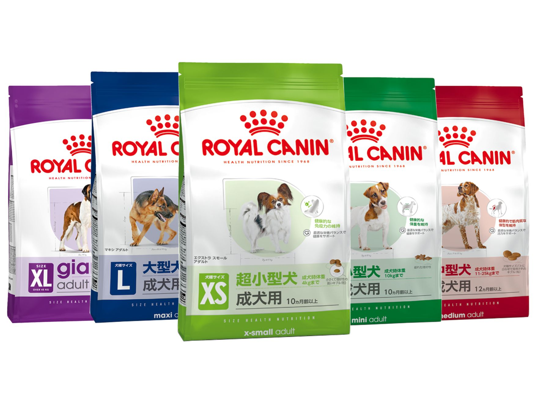 ロイヤルカナン サイズ ヘルス ニュートリション - ドッグフード | Royal Canin JP