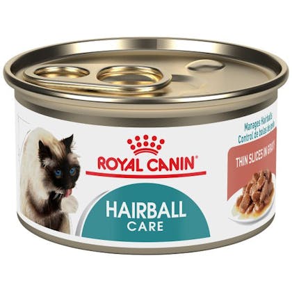 Hairball care wet B2