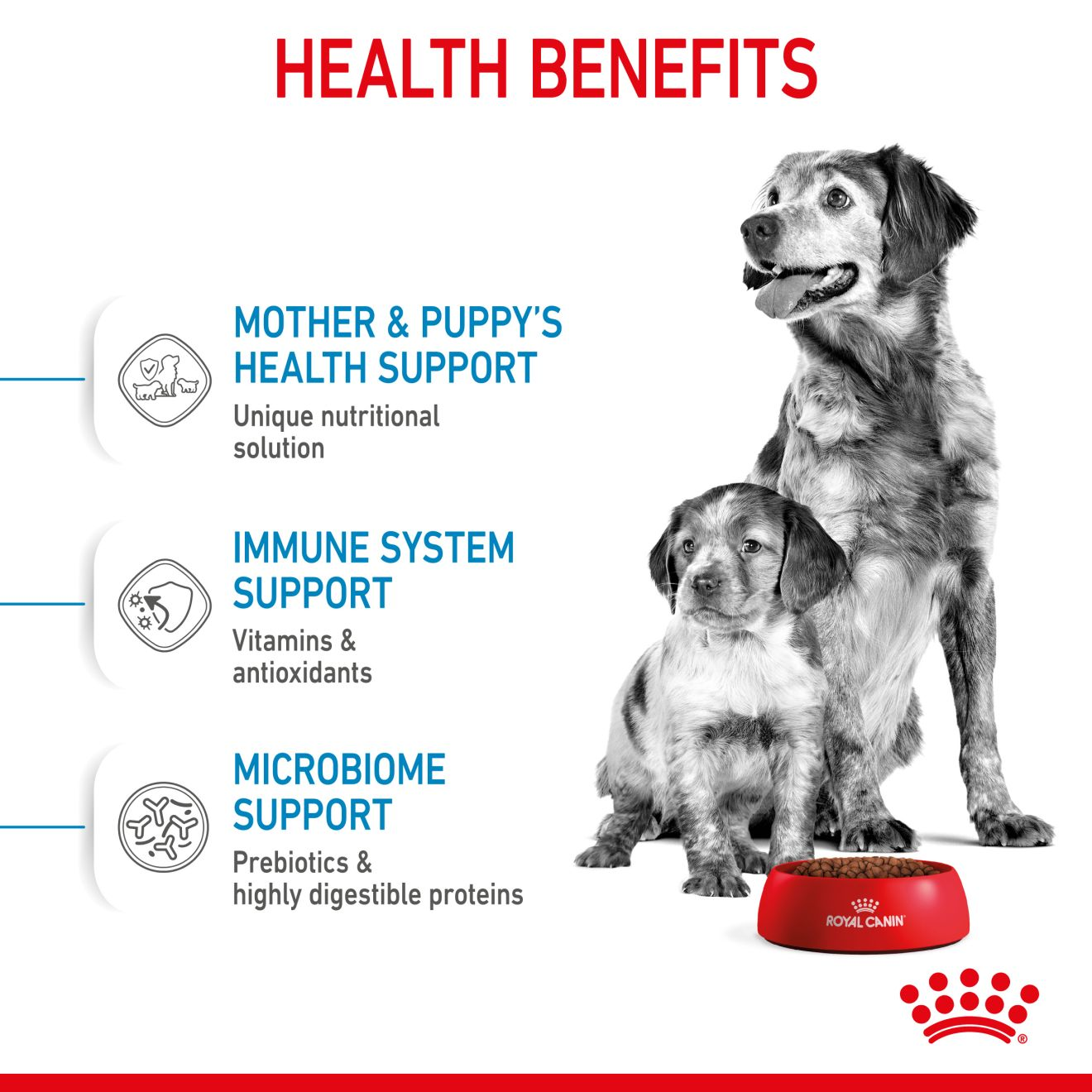 Royal canin mother and baby store dog medium