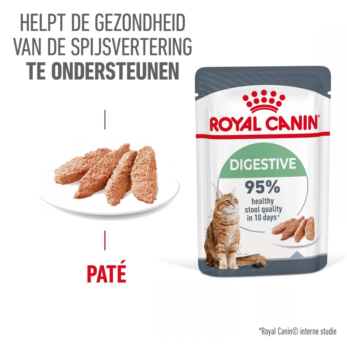 Digestive Care in Loaf (paté in saus)