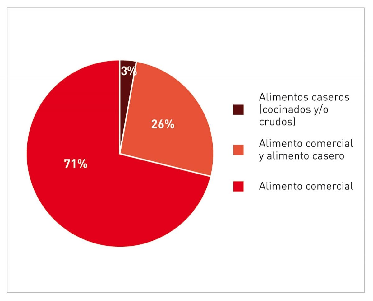Los gatos de la encuesta recibían alimentos comerciales, alimentos caseros o ambos.