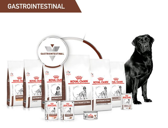 Linha Vet Cães | Royal Canin Brazil