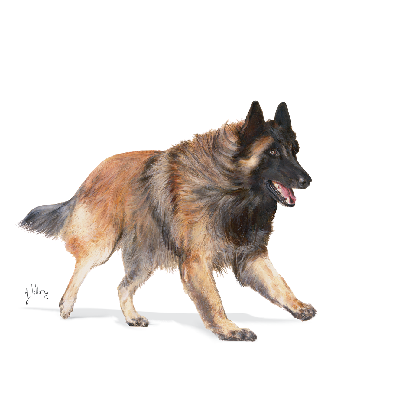 royal canin sporting life trail 4300